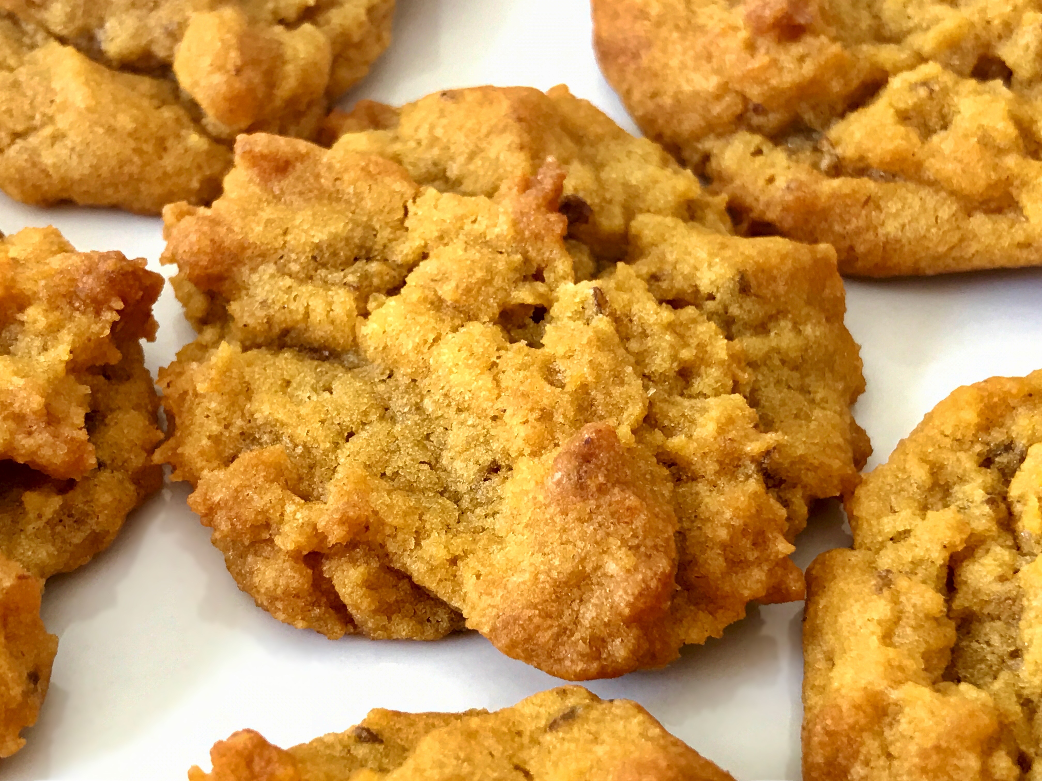 A craggily-textured pumpkin cookie.